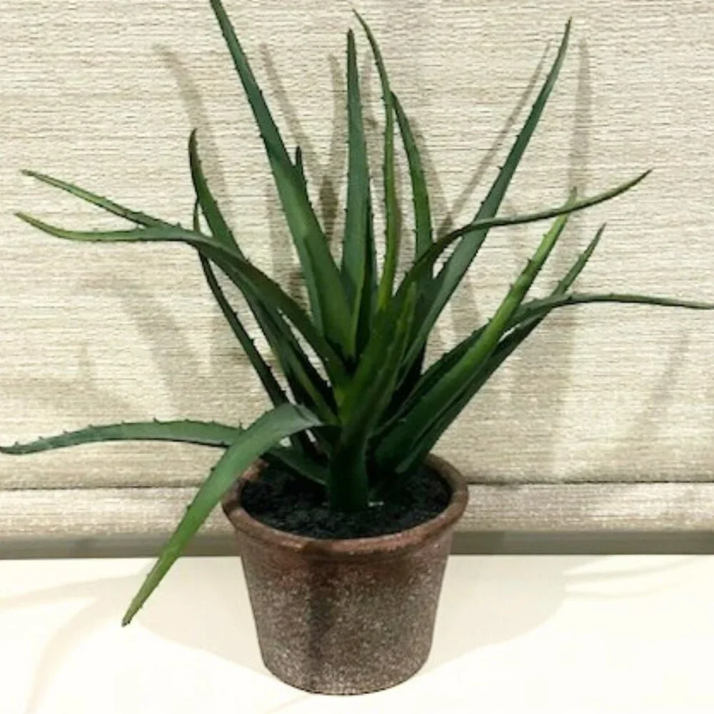 Set of 2  Faux Lifelike Aloe Plant In Rustic Terracotta Pot Planter